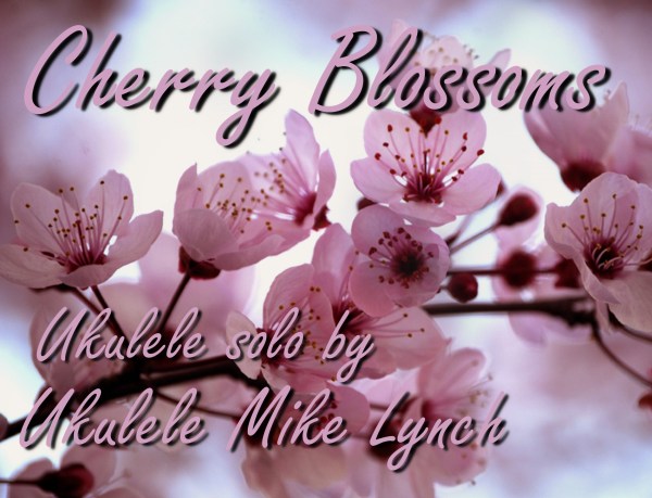 Cherry Blossoms cover