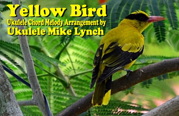 Yellow Bird complete