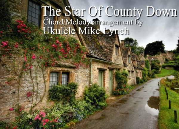 star blog header.jpg