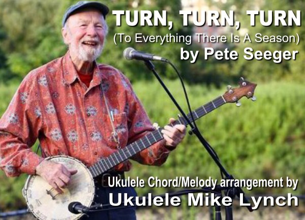 turn turn turn blog header.jpg